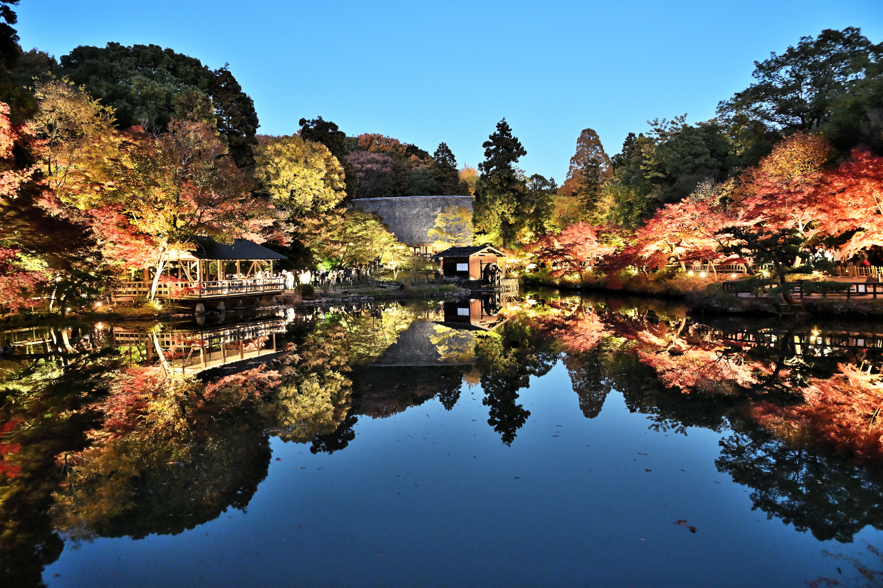 東山動植物園　紅葉